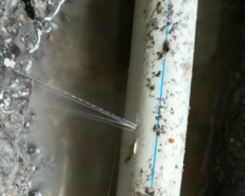 阳江市卫生间测漏水多少钱